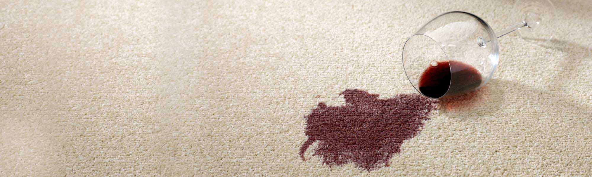 Professional Stain Removal Service by Chem-Dry of Mount Vernon in Mount Vernon WA.
